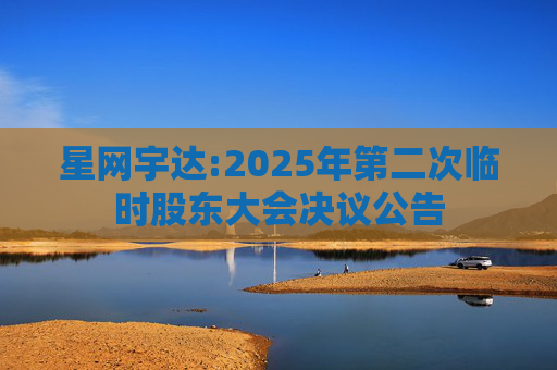 星网宇达:2025年第二次临时股东大会决议公告
