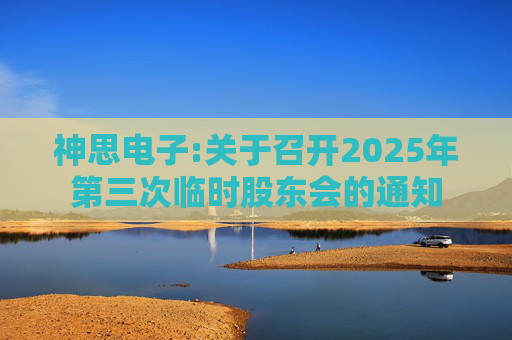 神思电子:关于召开2025年第三次临时股东会的通知