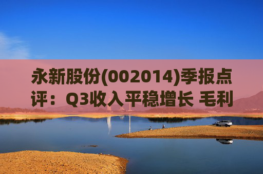 永新股份(002014)季报点评:Q3收入平稳增长 毛利率企稳回升