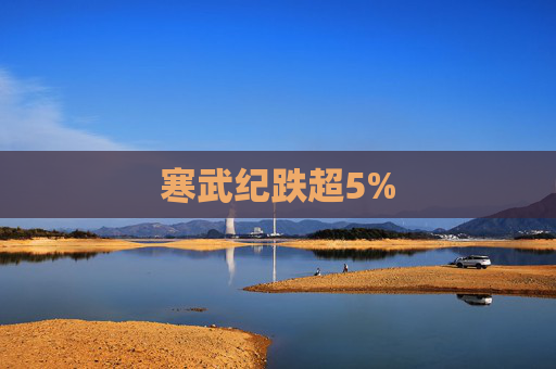 寒武纪跌超5%