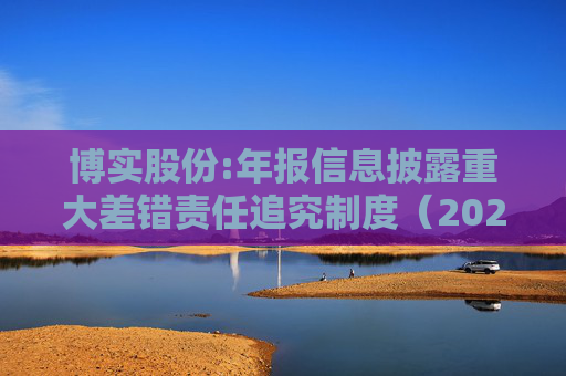 博实股份:年报信息披露重大差错责任追究制度(2025年11月)