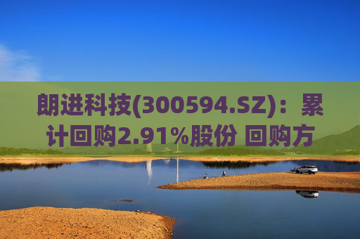 朗进科技(300594.SZ):累计回购2.91%股份 回购方案已完成