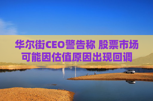 华尔街CEO警告称 股票市场可能因估值原因出现回调