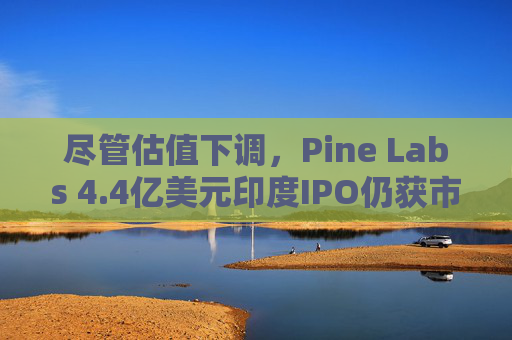 尽管估值下调,Pine Labs 4.4亿美元印度IPO仍获市场热捧