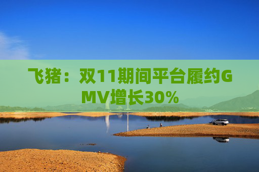飞猪：双11期间平台履约GMV增长30%