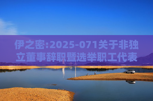 伊之密:2025-071关于非独立董事辞职暨选举职工代表董事的公告