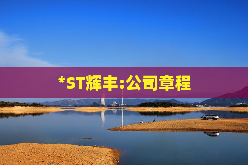 *ST辉丰:公司章程