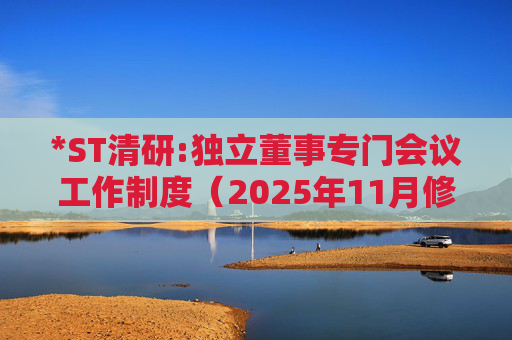*ST清研:独立董事专门会议工作制度（2025年11月修订）
