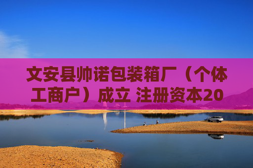 文安县帅诺包装箱厂（个体工商户）成立 注册资本20万人民币
