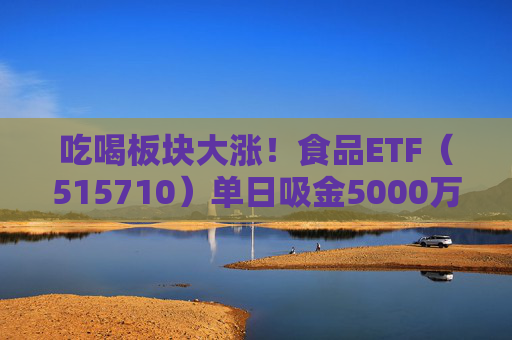 吃喝板块大涨!食品ETF(515710)单日吸金5000万!机构:食饮需求稳健龙头业绩可期