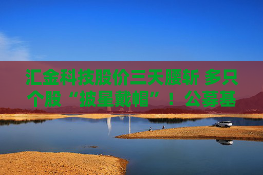 汇金科技股价三天腰斩 多只个股“披星戴帽”！公募基金如何“避雷”？