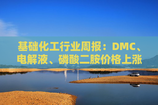 基础化工行业周报：DMC、电解液、磷酸二胺价格上涨 关注反内卷和铬盐