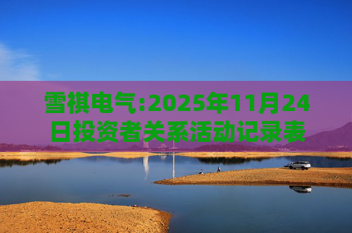 雪祺电气:2025年11月24日投资者关系活动记录表