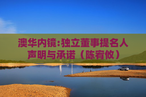 澳华内镜:独立董事提名人声明与承诺（陈宥攸）