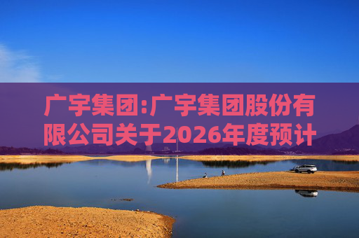 广宇集团:广宇集团股份有限公司关于2026年度预计新增担保的公告