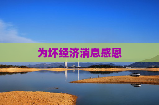 为坏经济消息感恩