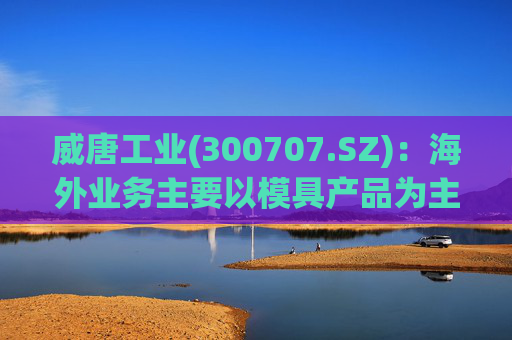 威唐工业(300707.SZ)：海外业务主要以模具产品为主  第1张