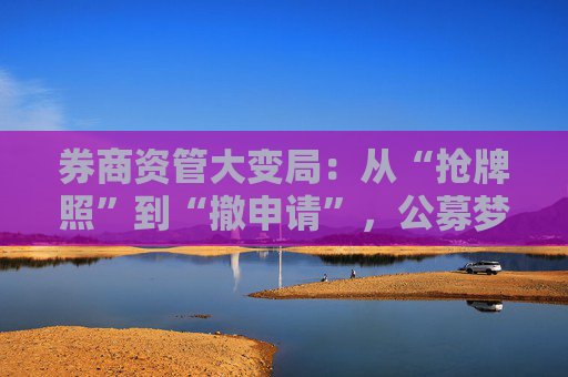 券商资管大变局:从“抢牌照”到“撤申请”,公募梦碎后私募规模逆势反弹2700亿元!券商资管何去何从?