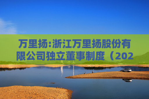 万里扬:浙江万里扬股份有限公司独立董事制度(2025年11月修订)