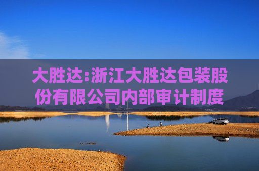 大胜达:浙江大胜达包装股份有限公司内部审计制度