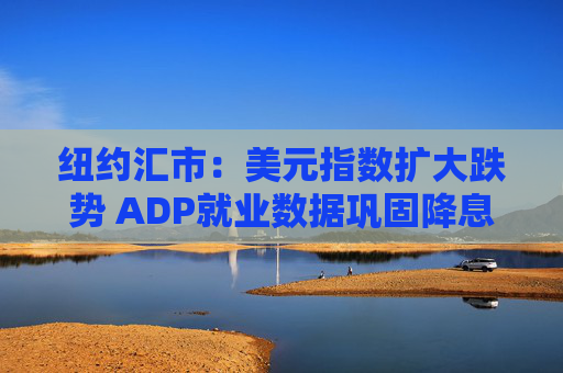 纽约汇市:美元指数扩大跌势 ADP就业数据巩固降息预期