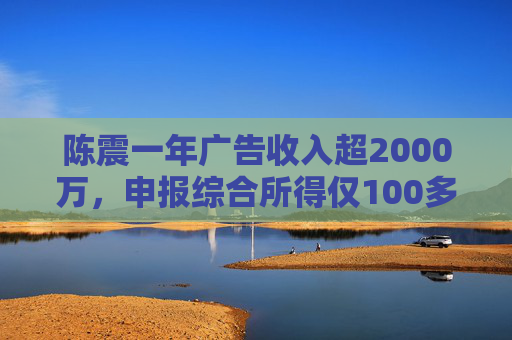 陈震一年广告收入超2000万，申报综合所得仅100多万