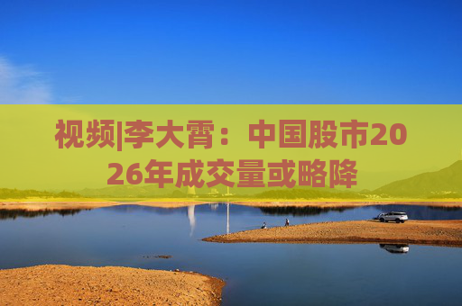 视频|李大霄：中国股市2026年成交量或略降