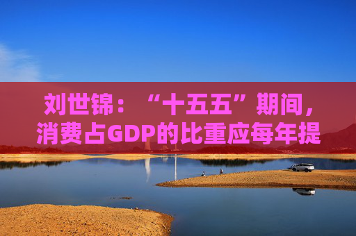 刘世锦：“十五五”期间，消费占GDP的比重应每年提高1个百分点