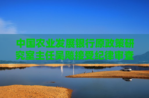 中国农业发展银行原政策研究室主任吴飚接受纪律审查和监察调查