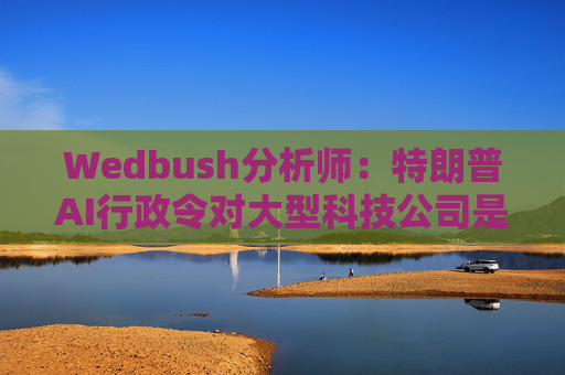 Wedbush分析师:特朗普AI行政令对大型科技公司是重大利好