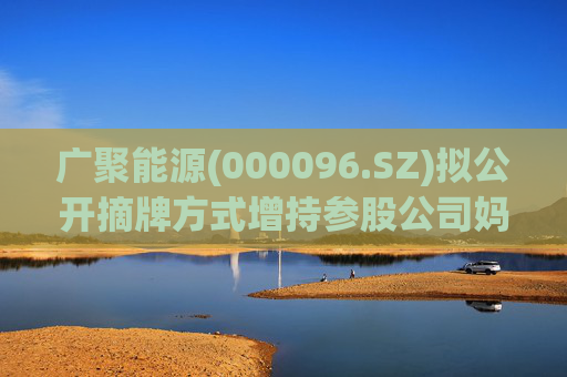 广聚能源(000096.SZ)拟公开摘牌方式增持参股公司妈湾电力8%股权