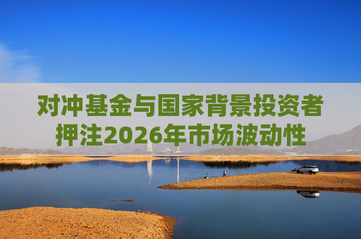 对冲基金与国家背景投资者押注2026年市场波动性