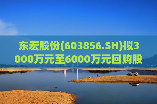 东宏股份(603856.SH)拟3000万元至6000万元回购股份