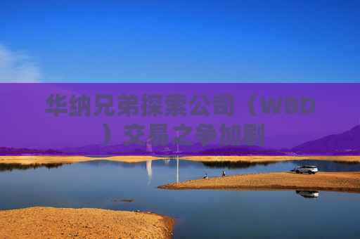 华纳兄弟探索公司（WBD）交易之争加剧