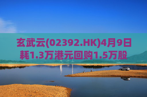 玄武云(02392.HK)4月9日耗1.3万港元回购1.5万股
