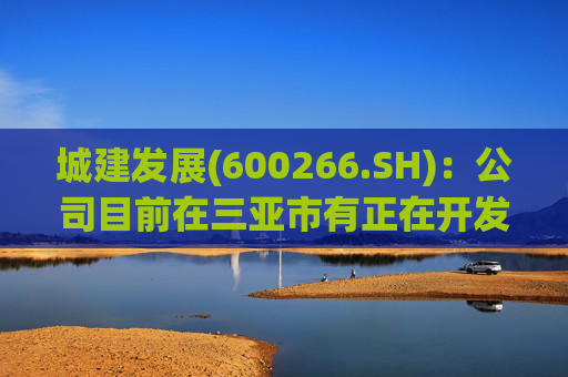 城建发展(600266.SH)：公司目前在三亚市有正在开发的房地产项目 同时运营一家度假酒店