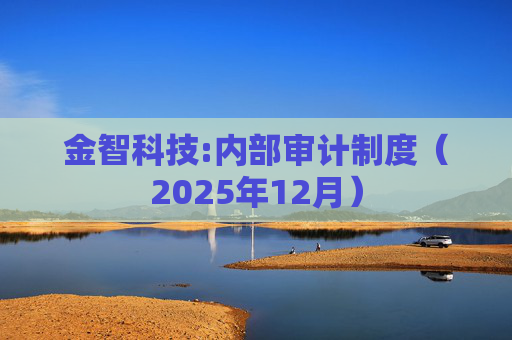 金智科技:内部审计制度（2025年12月）