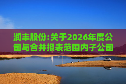 润丰股份:关于2026年度公司与合并报表范围内子公司相互担保的公告