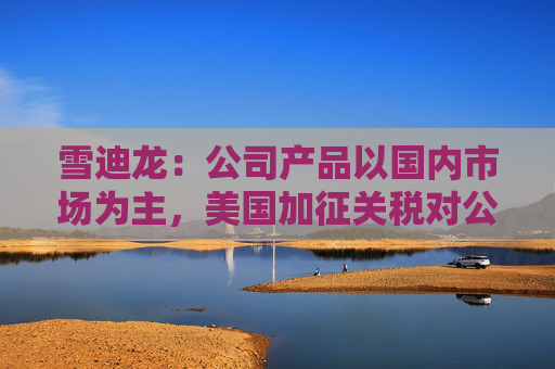 雪迪龙：公司产品以国内市场为主，美国加征关税对公司业务影响相对有限  第1张
