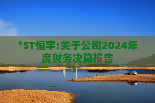 *ST恒宇:关于公司2024年度财务决算报告