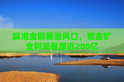 踩准金铜暴涨风口，紫金矿业利润暴增近200亿