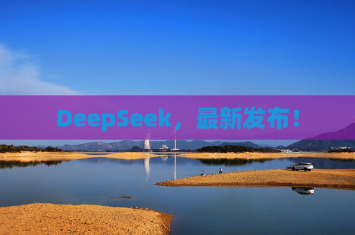 DeepSeek，最新发布！