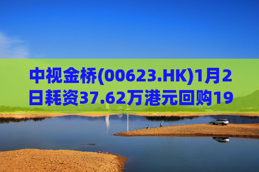 中视金桥(00623.HK)1月2日耗资37.62万港元回购19.4万股