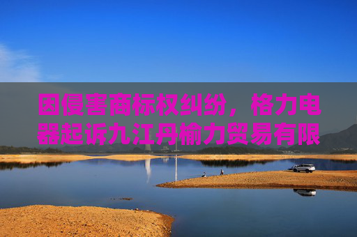 因侵害商标权纠纷，格力电器起诉九江丹榆力贸易有限公司等  第1张