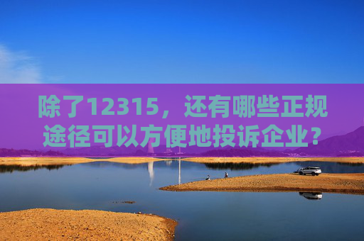 除了12315，还有哪些正规途径可以方便地投诉企业？