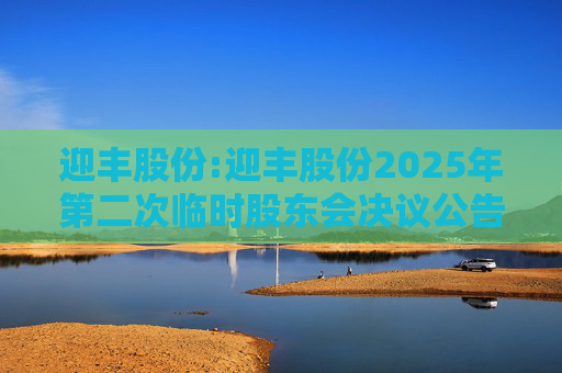 迎丰股份:迎丰股份2025年第二次临时股东会决议公告