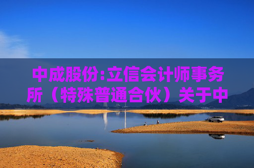 中成股份:立信会计师事务所（特殊普通合伙）关于中成进出口股份有限公司发行股份购买资产并募集配套资金申请的审核问询函的回复