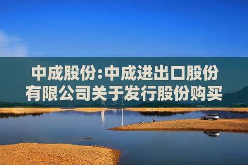 中成股份:中成进出口股份有限公司关于发行股份购买资产并募集配套资金暨关联交易报告书（草案）及审核问询函回复修订说明的公告