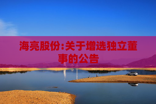 海亮股份:关于增选独立董事的公告