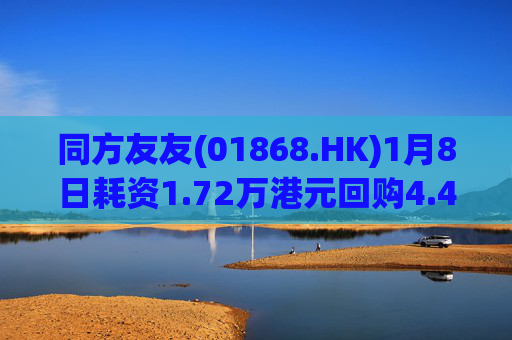 同方友友(01868.HK)1月8日耗资1.72万港元回购4.4万股